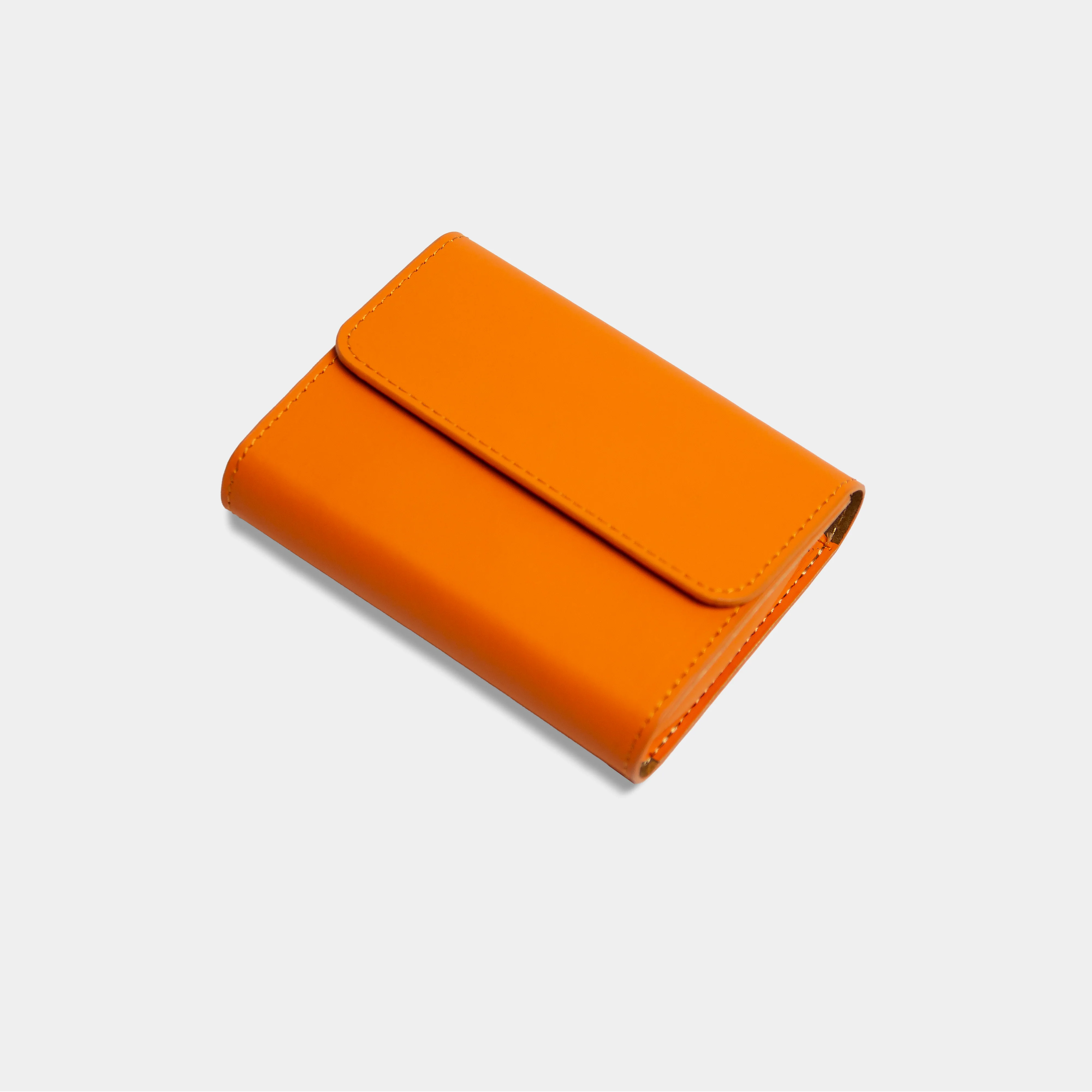 Carry Case - Image 2